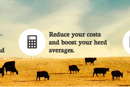 看美国人怎么用互联网思维养牛：农场管理软件Farmaron获410万美元融资