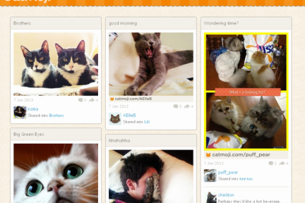 有创意的复制：为猫咪打造的 Pinterest