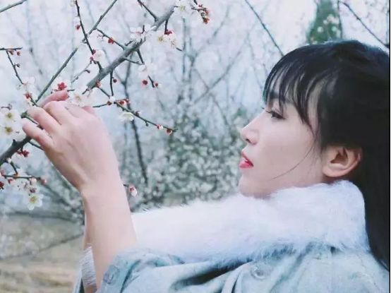 微博、网红大推手、新媒体投资家：“仙女”李子柒身后的生意人