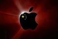 Tim Cook：第四财季中国市场营收增26%，iPhone 5将于12月正式登陆中国