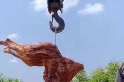 千万粉丝不接广告，“谁模仿谁破产”的博主到底有多富？