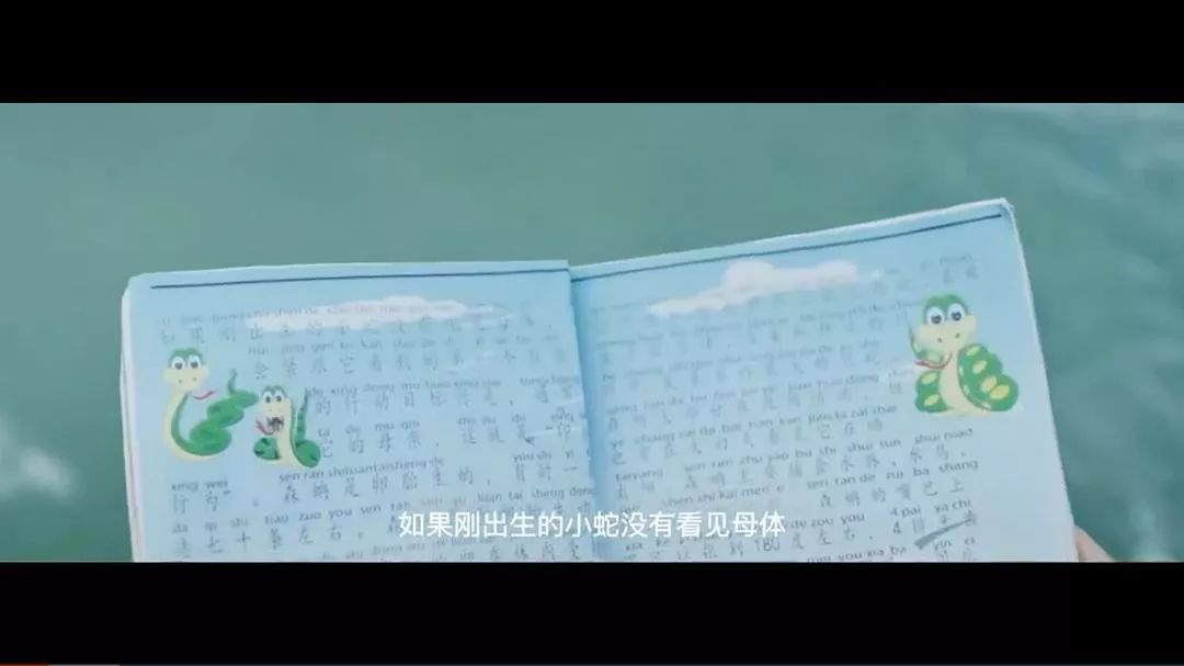 56小时1163万，《大蛇2》的口碑和商业如何取舍