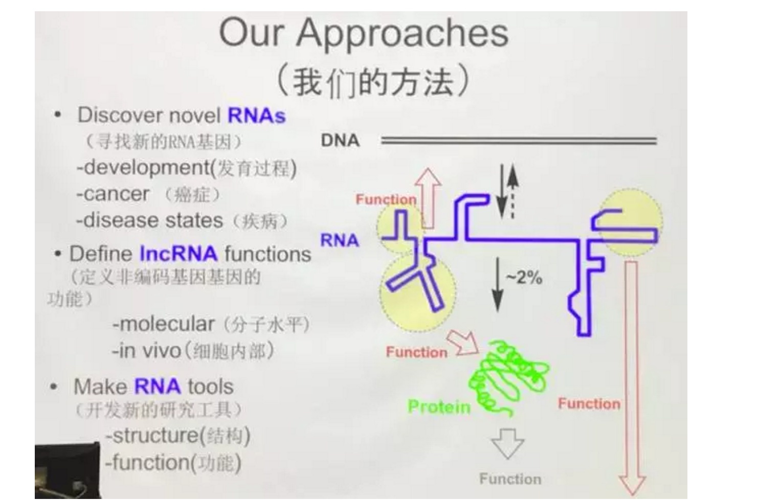 斯坦福教授说，“返老还童”这事，居然可以实现