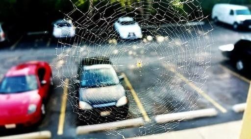 每100辆二手车中只有1辆是线上平台买出去的 二手车电商集体从交易转向金融服务 36氪