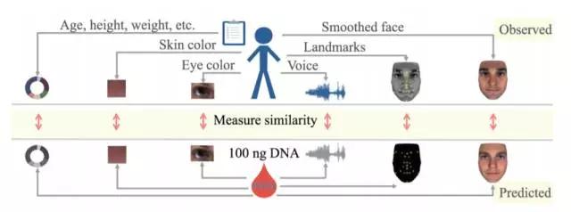 当科学狂人遇上机器学习：基因组测序竟能准确预测长相