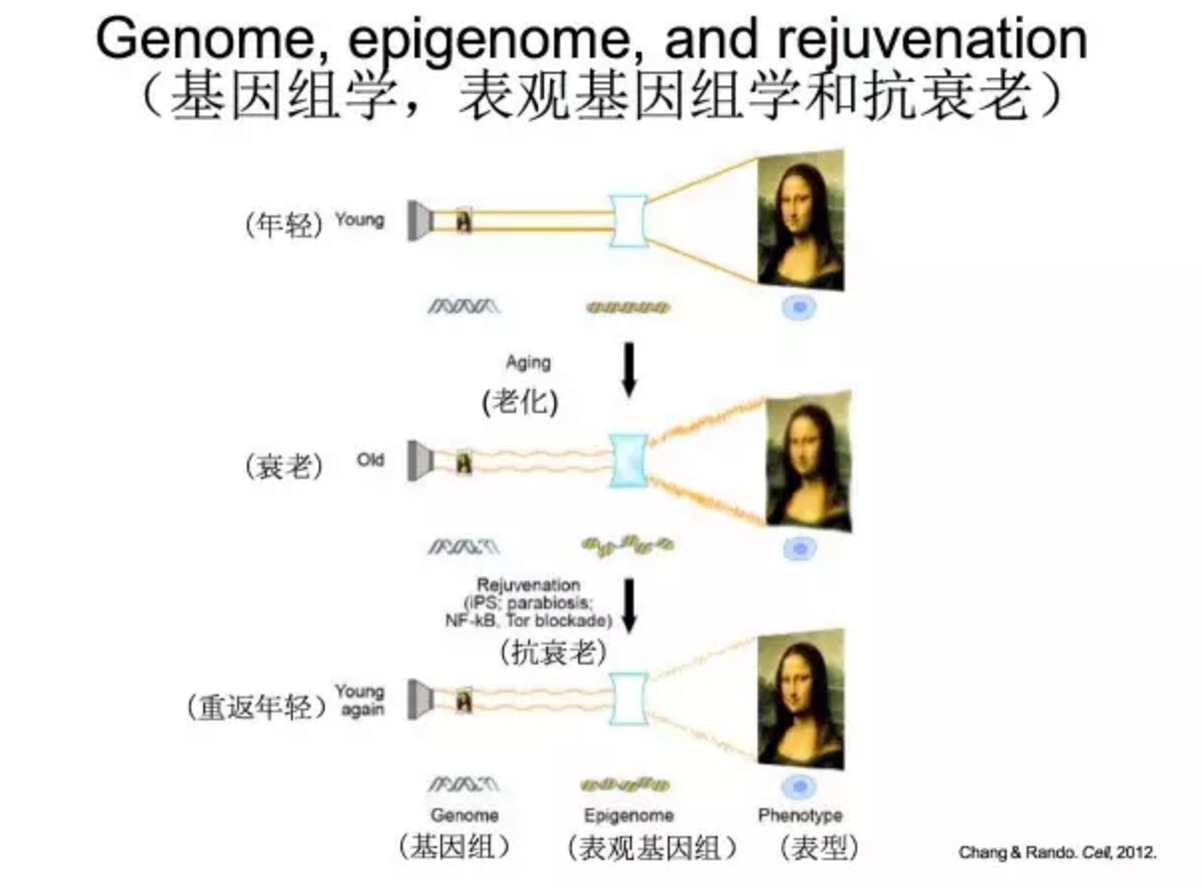 斯坦福教授说，“返老还童”这事，居然可以实现