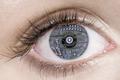 Google Glass的下一步：隐形眼镜的智能化还有多远？