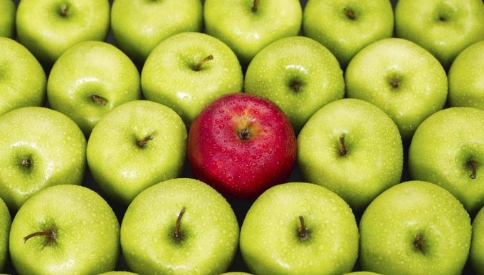 500 Startups加速器项目— Credii：来自印度的企业IT解决方案选择顾问