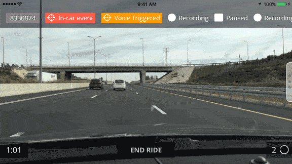 Auto-brake-detection.gif