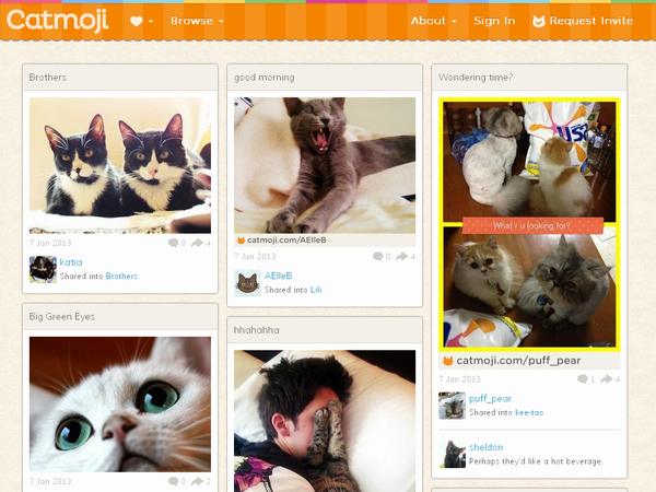 有创意的复制：为猫咪打造的 Pinterest