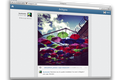 就像用app一样，网页版Instagram推出完整照片信息流