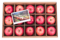 细分农产品能否做出品牌？「至诚至品」想通过全供应链品控做苹果的独立品牌