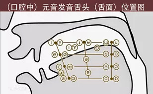 语音识别揭秘：你的手机究竟有多理解你？