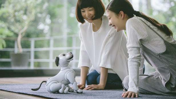 我一直觉得“机器宠物狗”是个笑话，直到见到索尼的 Aibo