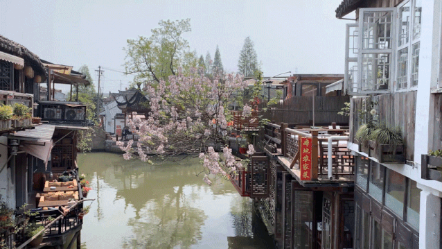 氪外活动 | 云钓鱼、云赏花、云旅游.....春季宅家的N种方式