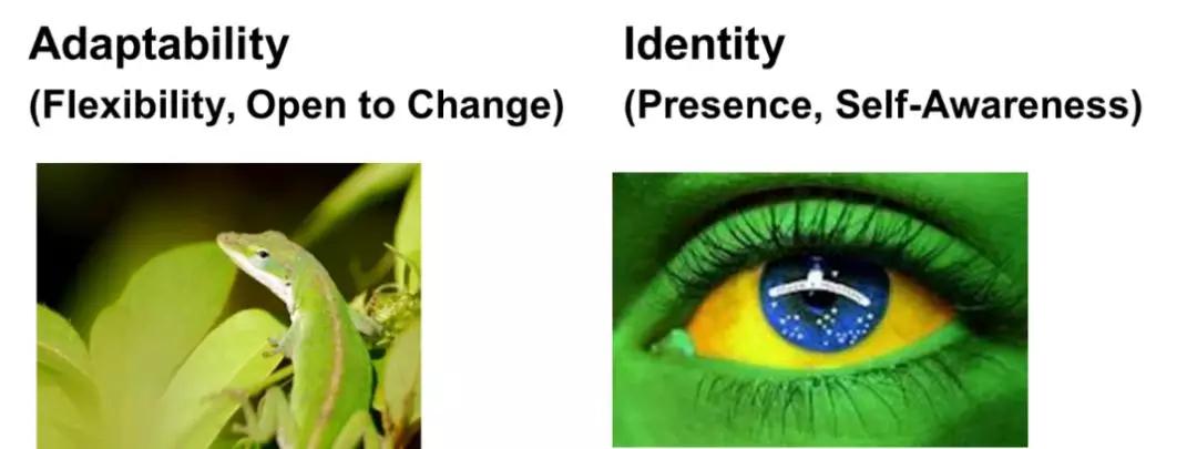 成功与失败都以10倍速进行的时代，企业丛林生存6大法则