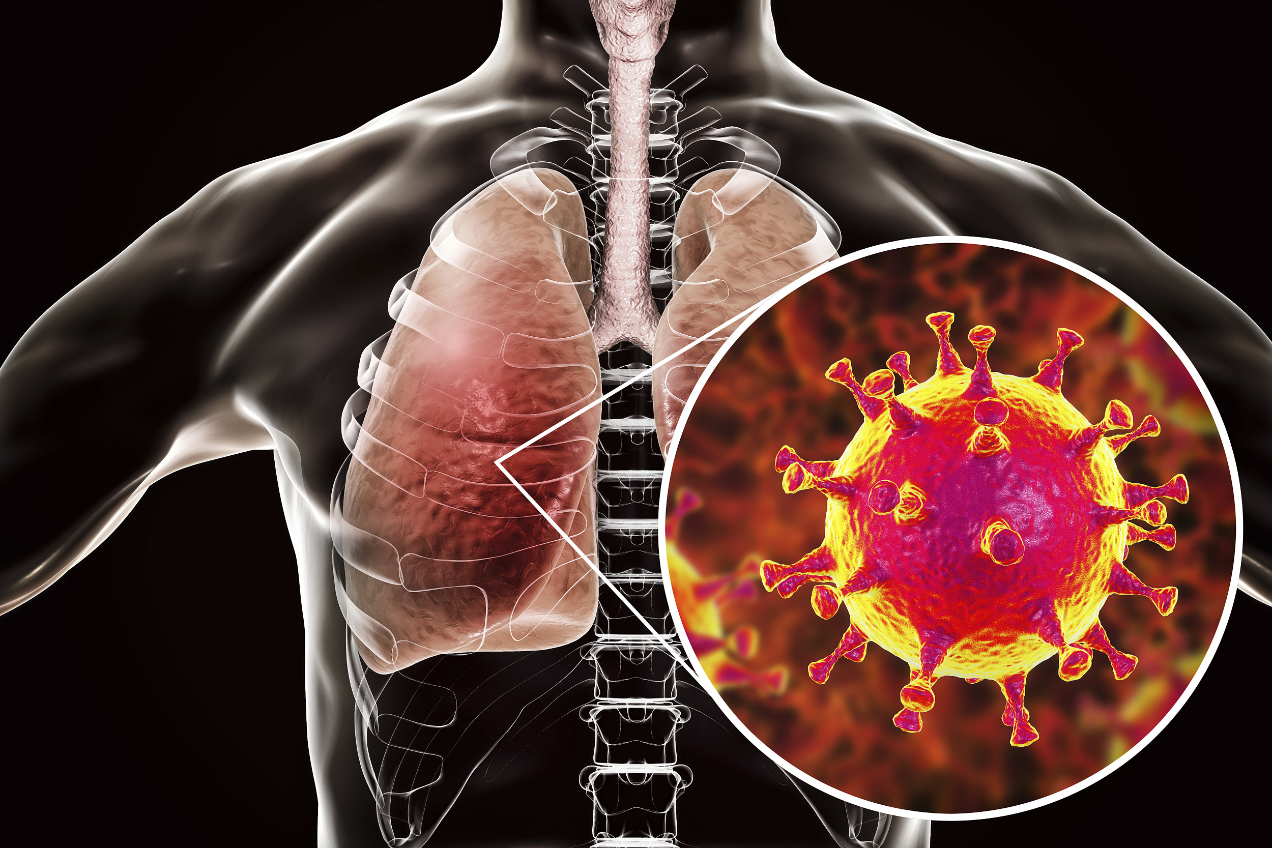 来源:视觉中国中国学者在18日的文章指出,新病毒命名为sars-cov-2实际