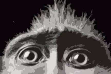 人脑互联、动力骨骼、侦探眼、永生...... 我们离超人类越来越近