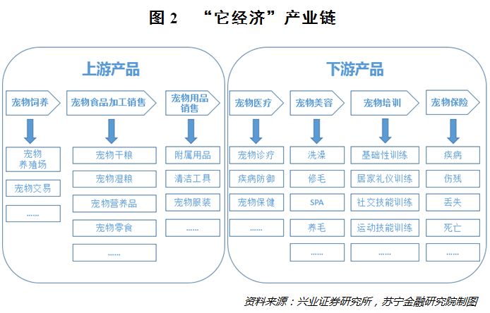 萌宠兴盛的背后，一门有关孤独的生意正蓬勃生长