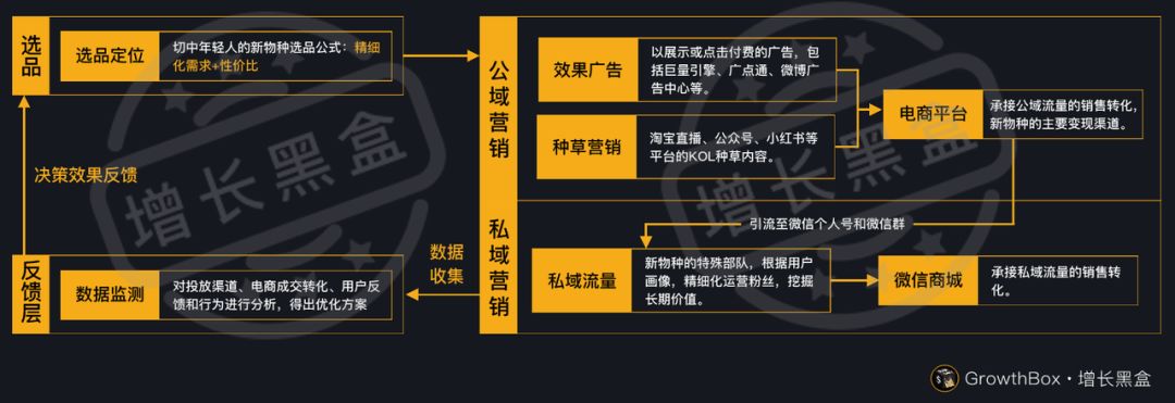 12000字全面解读完美日记：从组织架构到增长策略