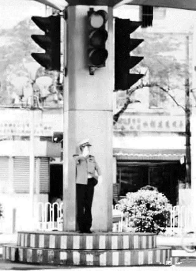 不是东北人选择了海南，而是海南选择了东北人
