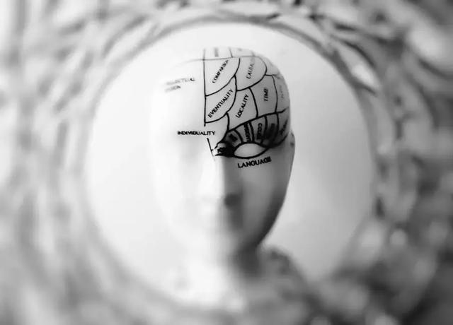解码“认知之轮”：AI与人类的终极一战