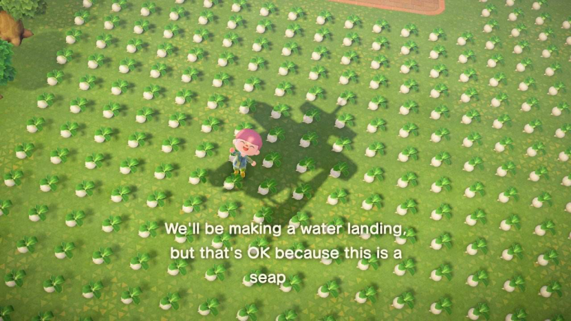 年轻人的理财新风潮：去动物森友会卖菜