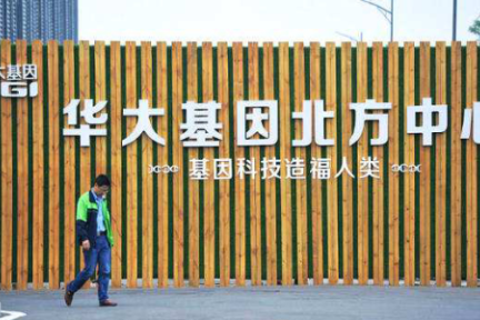深交所接连“扒皮”问询，华大基因上市堪称“渡劫”