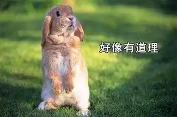 知乎事件谈：大V的诉求、平台的设防与互金的监管