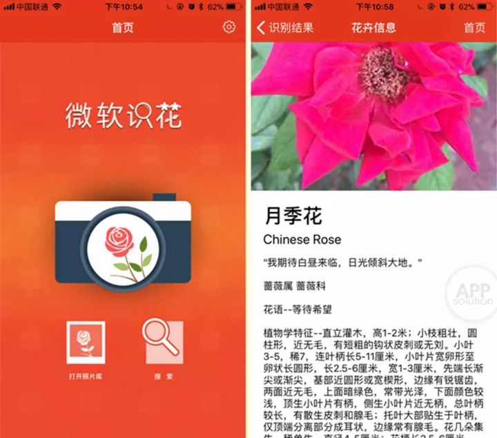 想知道那朵花的名字？试试用这三款 App 扫一扫