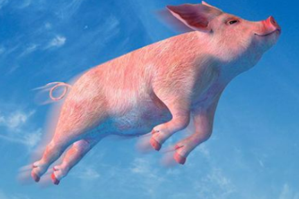 283款区块链游戏中仅5款DAU破百，大量开发者涌入，但“韭菜”已经开始逃离