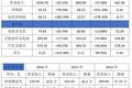通往世界汽车巨头的竞技路上，比亚迪还缺什么？