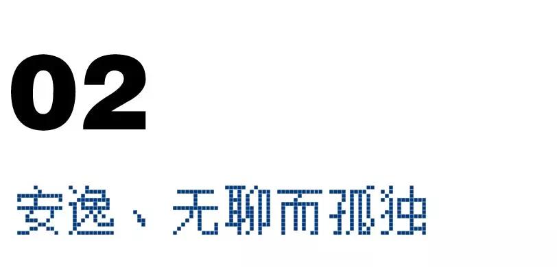 西雅图华人码农生存实录 详细解读 最新资讯 热点事件 36氪