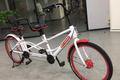 共享单车还能怎么玩？Hellobike加码景区共享单车细分市场