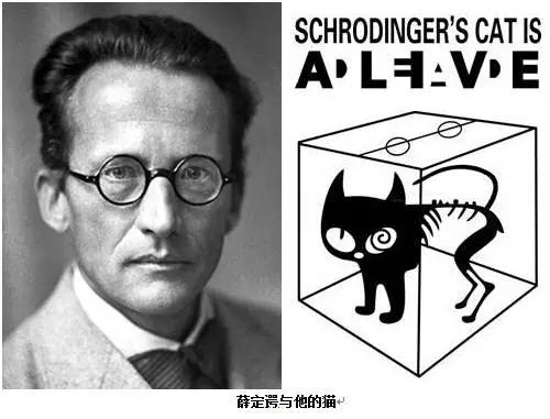 【读书】牛顿思维颠覆者左哈尔：用量子领导力做新世界商业领袖