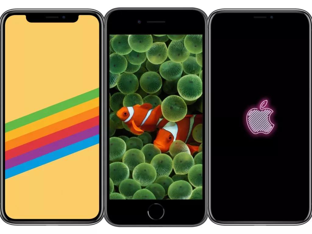 iPhone 壁纸有多贵？光一朵花就拍了 285 小时，它们都是怎么来的