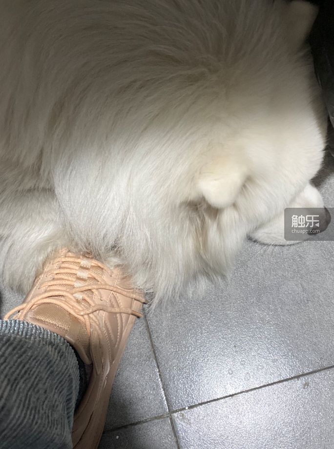 春天里的网吧静悄悄