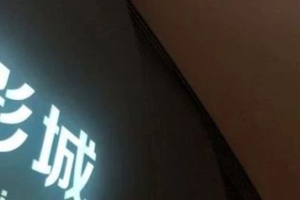 流向院线的热钱开始涌向“网大”？