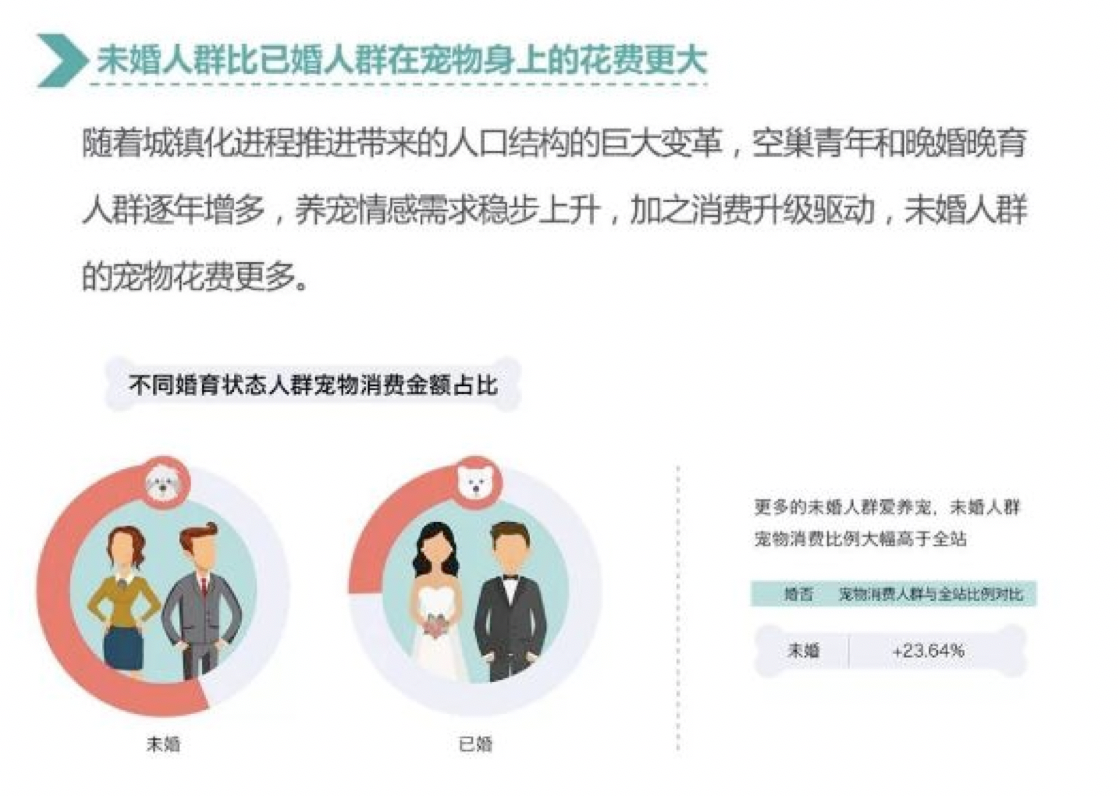 一段温情告白:流浪猫与都市白领演绎爱与被爱(图5) 一段温情告白:流浪猫与都市白领演绎爱与被爱(图5)