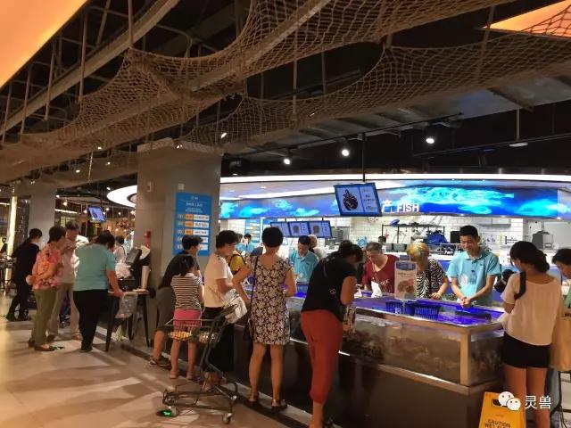 另类业态刀刀见血：盒马鲜生、掌鱼生鲜...搅局者们要割实体店的韭菜了吗？