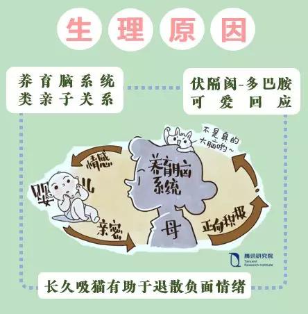 吸猫引导的新兴文化潮流：中国猫次元经济现象研究