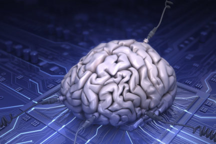 云机器人的黎明：机器人大脑Robo Brain让机器人有自己的维基百科