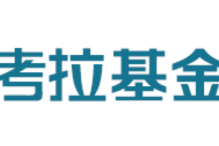 新资本 | 背靠拉卡拉，「考拉基金」聚焦金融科技与消费升级