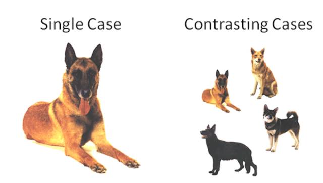 “期待失败也期待真爱”的马斯克们脑子里都在想些啥？