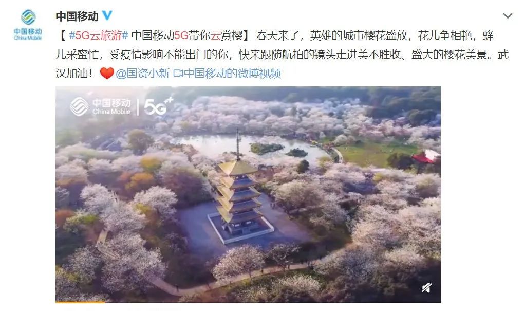 氪外活动 | 云钓鱼、云赏花、云旅游.....春季宅家的N种方式