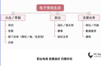 “正火”的电竞行业 | 让你来投资，投 VS 不投？
