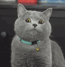 这可能是“投资自己”被黑得最惨的一次