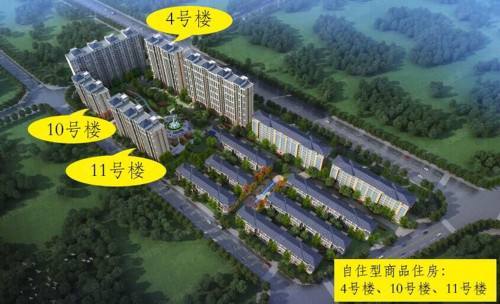 阳光城·京兆府：除了阳光，还有什么？