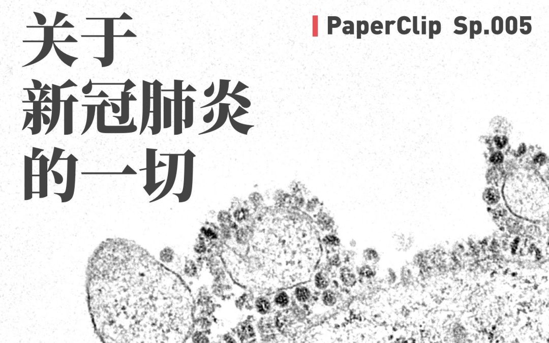 回形针涨粉470万、朱一旦刷屏，“硬核科普”和“硬核荒诞”出圈记？