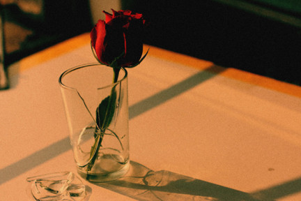 拿什么拯救你，创业公司那失落的期权？！